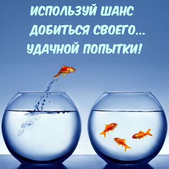 imagetext ru 25034